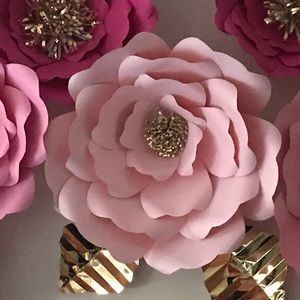 Meet your Posher, Anju